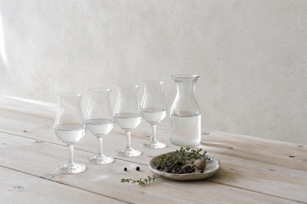 Gin Tasting — Anleitung zur Verkostung