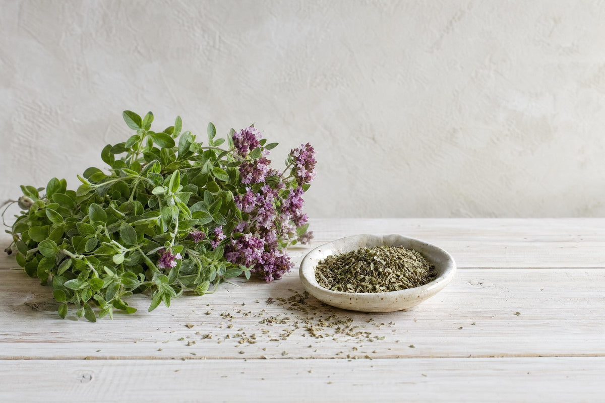 Oregano — Aroma, Herkunft und Verwendung