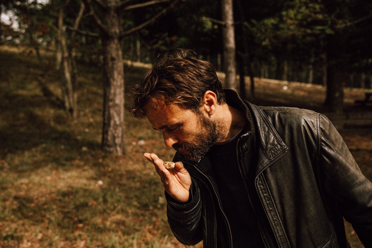 Weißes Trüffelöl - 250ml – Vitelium