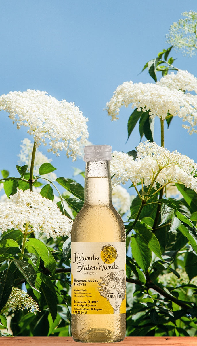 Elderflower & Ginger Premium Syrup