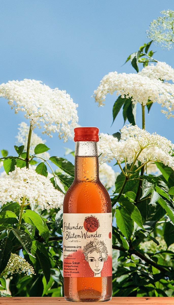Elderflower & Rhubarb Premium Syrup