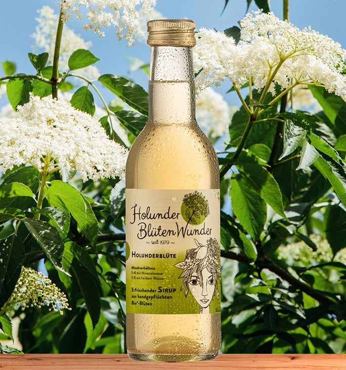 Premium Elderflower Syrup